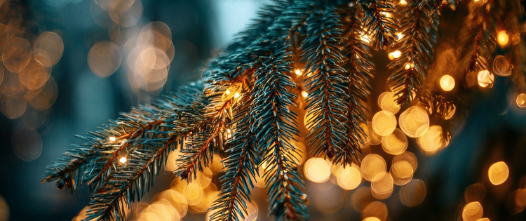 Christmas tree and lights