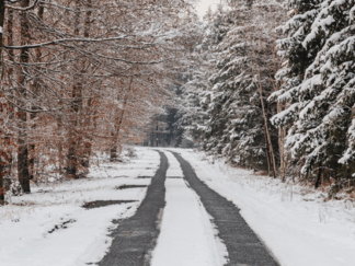 Snow covered road with trees on either side.