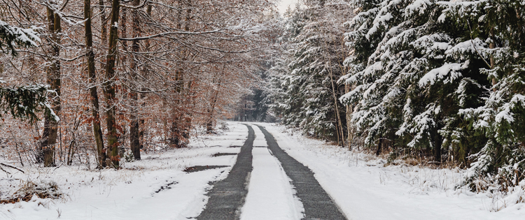 Snow covered road with trees on either side.